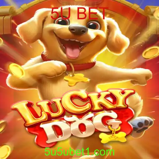 Entendendo 'LuckyDog': Uma Nova Experiência de Jogo com 5U BET